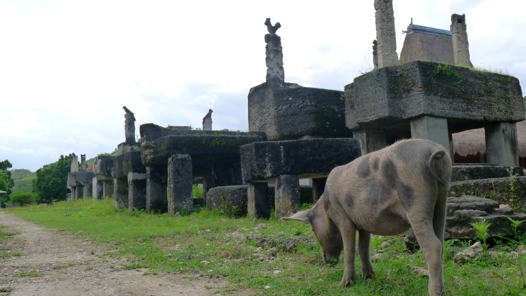 Megalit Kerajaan Rende