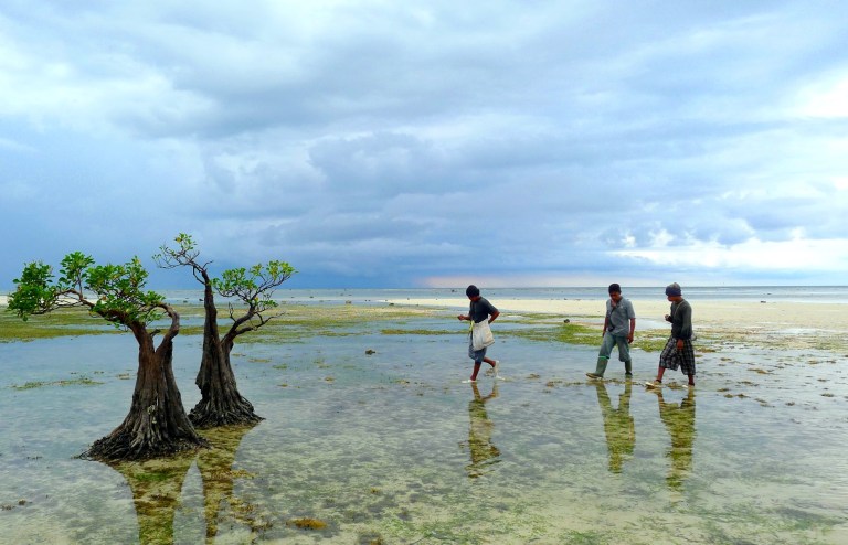Mencari Gurita di Pantai Walakiri