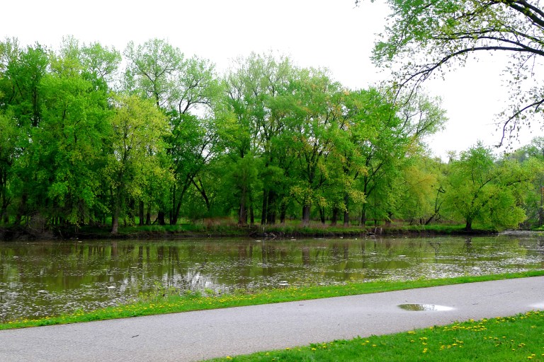 Iowa River that floods during rainstorm season. The park on its bank is in fact designed to be flooded. Engineering!